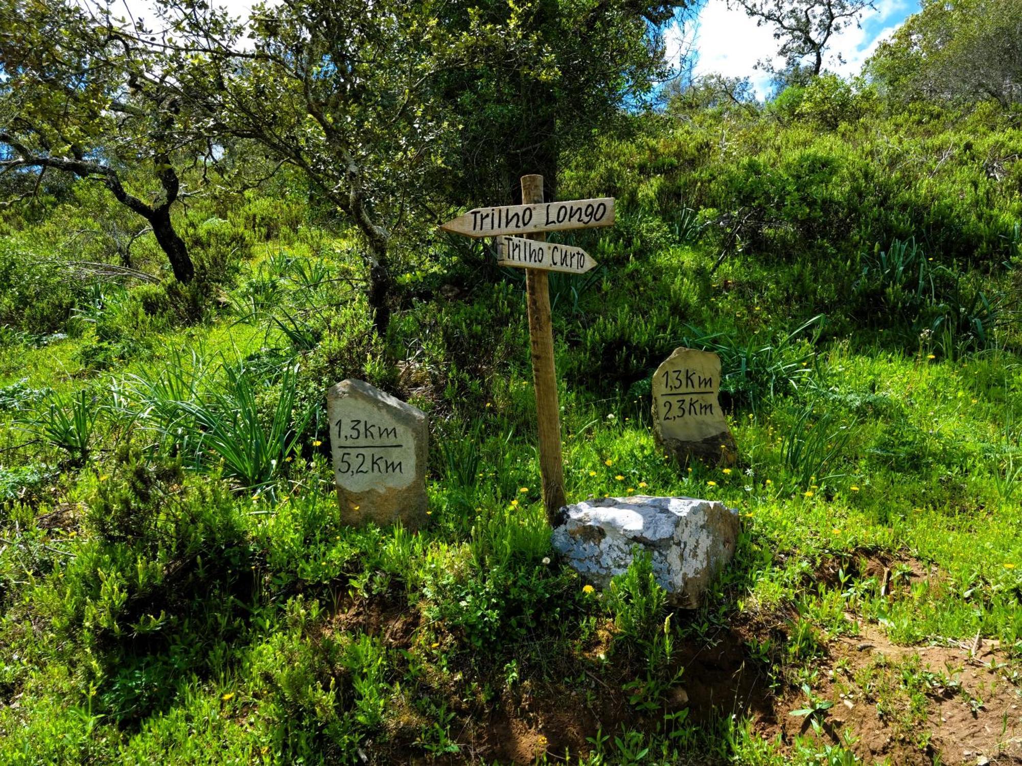 Monte Do Alento - Castro Da Cola Pensionat Alcaria  Exteriör bild